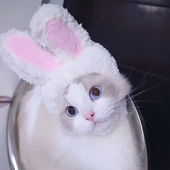 Кошачий головной убор, милая шапка с кроликом, реквизит для шоу кошачьих головных уборов, Забавная шапка для домашних животных с кроличьими ушками